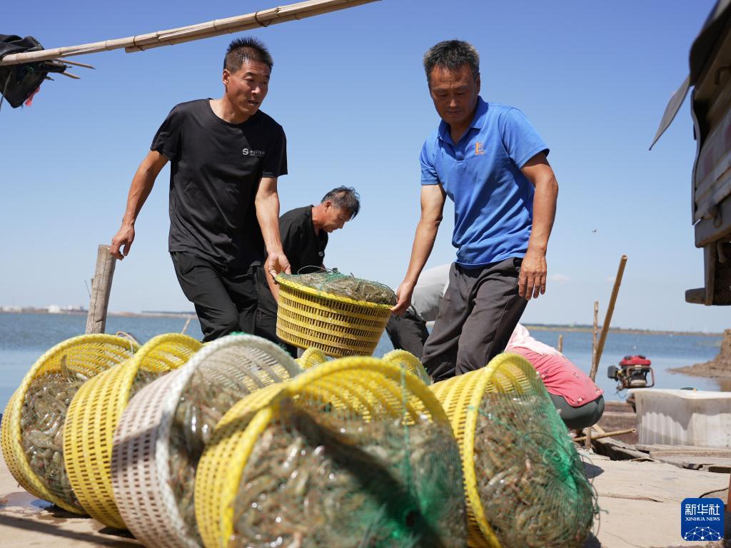 银河现金评测网